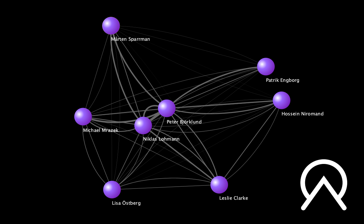 Building and Visualizing a Social Network through the Vikings